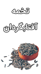تخمه سیاه چورس